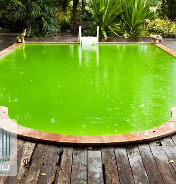 علت سبز شدن آب استخر و چگونه از آن جلوگیری کنیم ؟